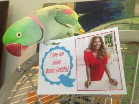 Lost Alexandrine