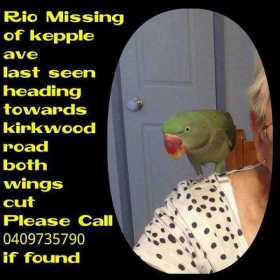 Lost Alexandrine