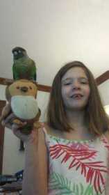 Lost Conure