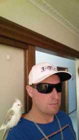 Lost Cockatiel