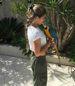 Lost Macaw