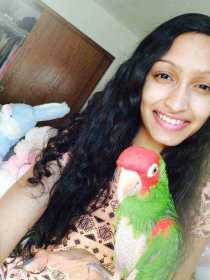 Lost Conure