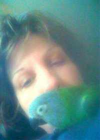 Lost Conure