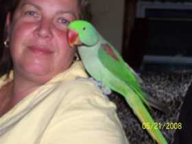 Lost Alexandrine