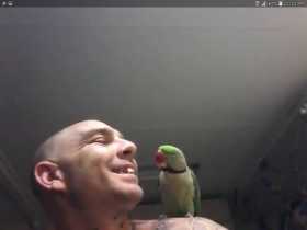 Lost Alexandrine