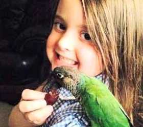 Lost Conure