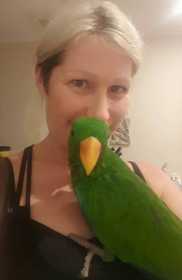 Lost Eclectus