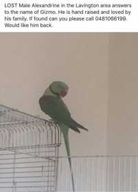 Lost Alexandrine