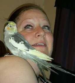 Lost Cockatiel