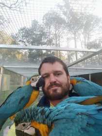 Lost Macaw