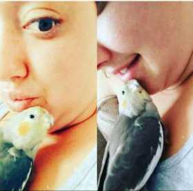 Lost Cockatiel