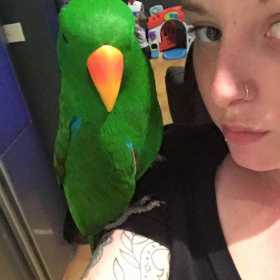 Lost Eclectus