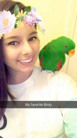 Lost Eclectus