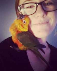 Lost Conure