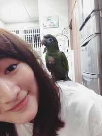 Lost Macaw
