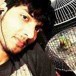 Lost Parrotlet