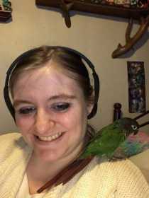 Lost Conure