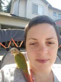 Lost Conure