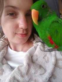 Lost Eclectus