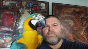 Lost Macaw