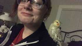 Lost Cockatiel