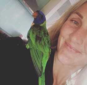 Lost Lory / Lorikeet