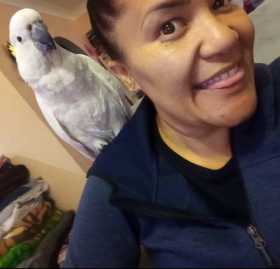 Lost Cockatoo