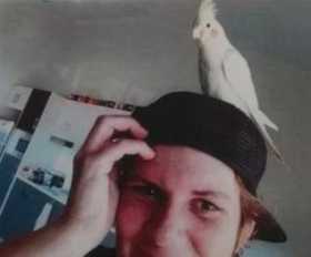 Lost Cockatiel