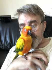 Lost Conure