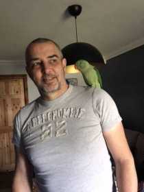 Lost Alexandrine