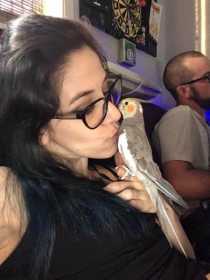 Lost Cockatiel