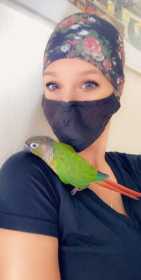 Lost Conure