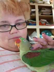 Lost Alexandrine
