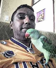 Lost Alexandrine