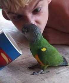 Lost Senegal