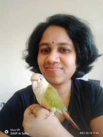 Lost Conure