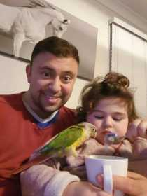 Lost Conure