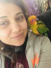 Lost Conure