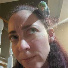 Lost Parrotlet