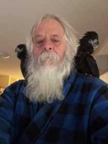 Lost Black Cockatoo