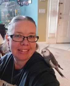 Lost Cockatiel