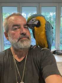 Lost Macaw
