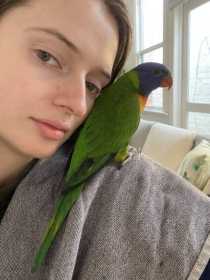 Lost Lory / Lorikeet