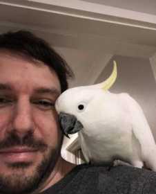 Lost Cockatoo