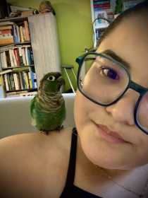 Lost Conure