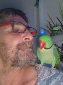 Lost Alexandrine