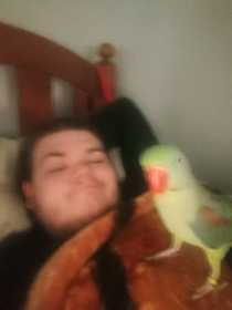 Lost Alexandrine