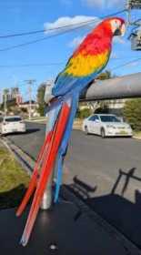 Lost Macaw