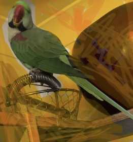 Lost Alexandrine