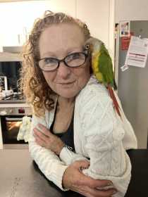 Lost Conure